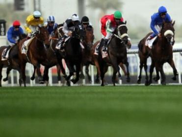 There's racing at Meydan on Saturday